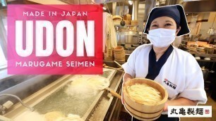 'How Fast Food Udon Noodles are Made in Japan'