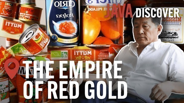 'Secrets of the Tomato Industry: The Empire of Red Gold | Food & Agriculture Documentary'