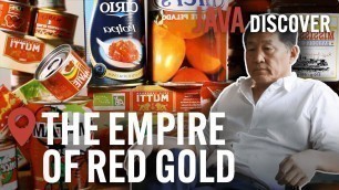 'Secrets of the Tomato Industry: The Empire of Red Gold | Food & Agriculture Documentary'