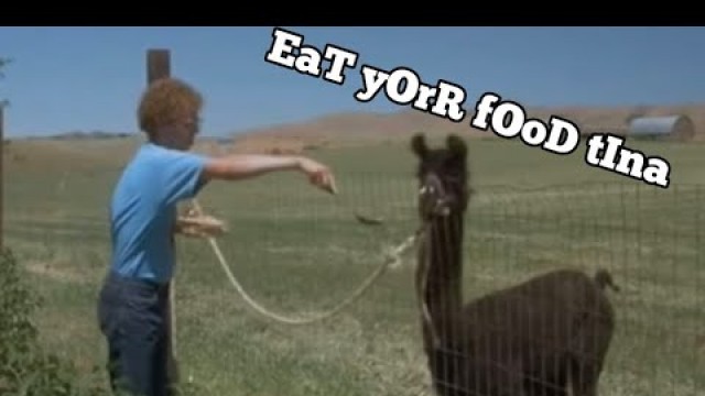 'EaT yOuR fOoD tInA'