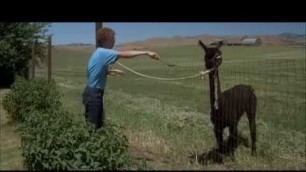 '\"Tina, you fat lard! Come get some dinner! Tina, eat. Food. Eat the food!\" Napoleon Dynamite, 2004'