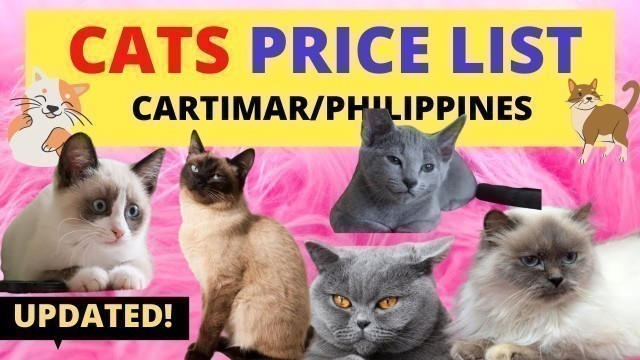 'Cat PRICE LIST Philippines | Cartimar Pet Shops (2020)'