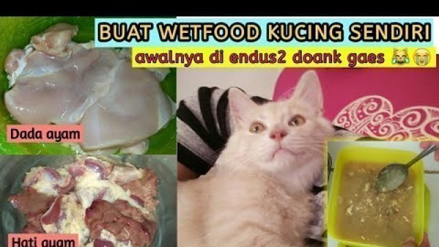 'Cara Membuat Makanan Kucing | Simple, Murah tapi Berkualitas'