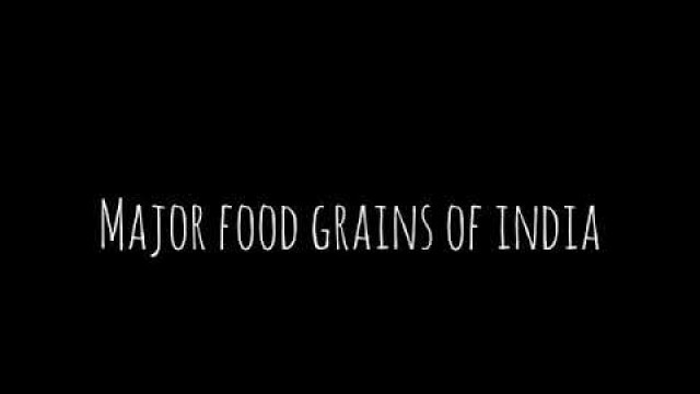 'Learn Major Food Grains of INDIA by Vanshika | Classy Vanshika Vlogs'