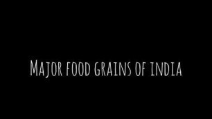 'Learn Major Food Grains of INDIA by Vanshika | Classy Vanshika Vlogs'