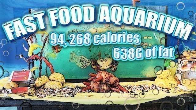 'Fast Food Aquarium - Epic Meal Time'