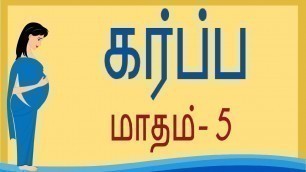 'Pregnancy | Tamil | Month by Month | Month 5 | கர்ப்பம் மாதம் 5 | Week by Week - Week 16 to Week 20'