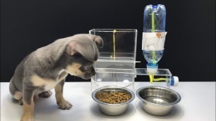 'How to Make Amazing Puppy Dog Food Dispenser-Aqua Dispenser'