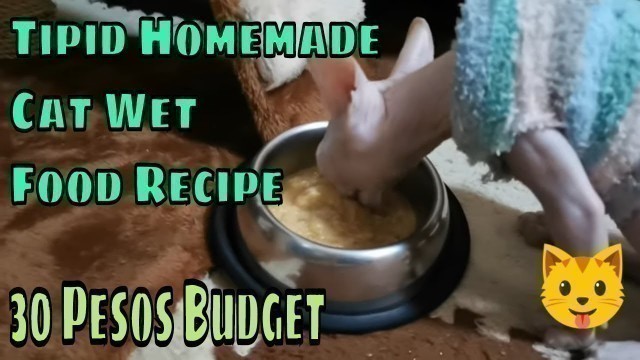 'Tipid Homemade Cat Wet Food Recipe'