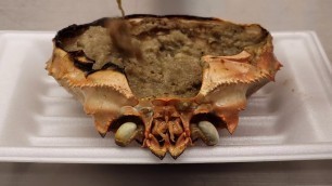 'JAPAN STREET FOOD - CRAB BRAIN - OSAKA'