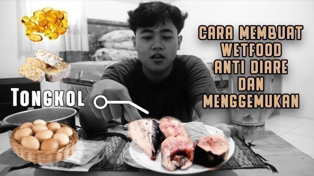 'Cara Membuat WetFood Anti Diare , Menggemukan, dan Hemat untuk si Kucing'