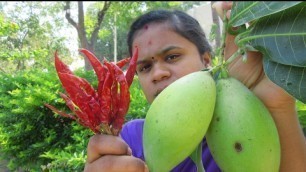 'Fresh MANGO With RED CHILLI Recipe | VILLAGE STYLE FOOD'