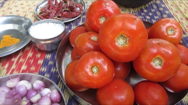 'Tomato Recipe In Tamil / Tomato Curry Recipes Cooking In Tamil / Village food Recipes'