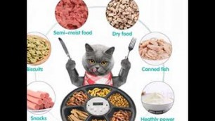 'Chintu Automatic Cat Feeder with Timer - 6 Meals Automatic Dog Feeder Food Dispenser'