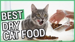 'Best Dry Cat Food | TOP 5 Dry Cat Foods  2020 