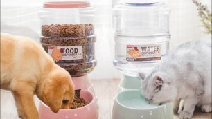 'Automatic Cat/ Dog Feeder | Unboxing Lazada'