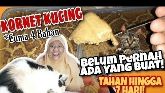 'CARA MEMBUAT WET FOOD UNTUK KUCING TEKSTURNYA MIRIP KORNET'