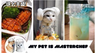 'Super pets making food (Cat and Dog) | China Tiktok | Part 2'