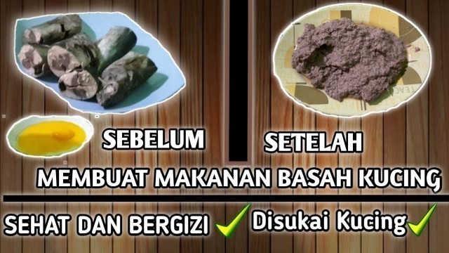 'Cara membuat makanan basah (Wet Food Tuna) untuk kucing'