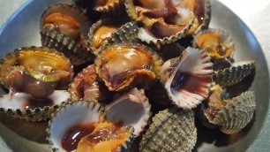 'Thai Street Food 2019 - Fresh Blood Cockle Boiled - Thai Food - Bangkok Thailand'