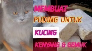 'AGAR KUCING GEMUK DAN KENYANG | CARA MEMBUAT WET FOOD PUDING | MY CATS DIARY'