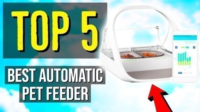 '✅ TOP 5: Best Automatic Pet Feeder 2020'