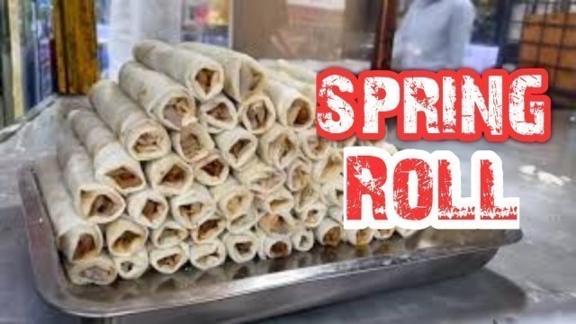 'Best Spring Roll In Esplanade Market Area | KOLKATA STREET FOOD'