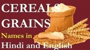 'Cereals Names and grains name in Hindi and English - अनाज के नाम'