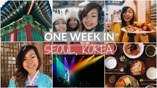 'ONE WEEK IN SEOUL | STREET FOOD | TRAVEL VLOG | MYEONGDONG SHOPPING | NORTH KOREA DMZ'