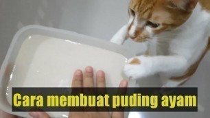 'Cara membuat puding ayam//kucing lahap makan'