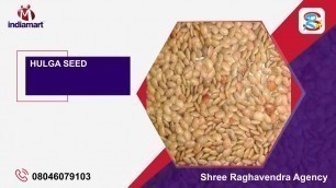 'Food Grains Wholesaler'