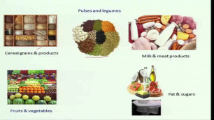 'Balanced diet and food groups'