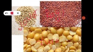 'Class 3rd ( Food grains and pulses)Social Science'