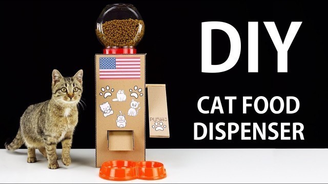 'DIY Cat Food Dispenser from Cardboard'