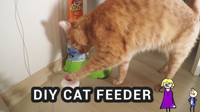 'DIY ARDUINO CAT FEEDER – cat pushes button to get food'