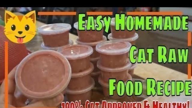 'Easy Homemade Cat RAW Food Recipe Tagalog (Philippines)'