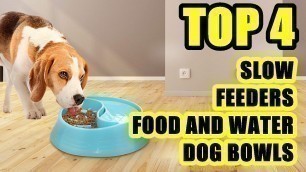 'TOP 4: Best Slow Feeder Food and Water Dog Bowl 2021 | for Small, Medium and Large Dog'