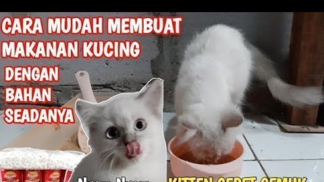 'CARA MEMBUAT WET FOOD UNTUK KITTEN / KUCING DEWASA #CATIME #2'