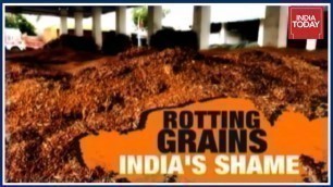 '50 Lakh Metric Ton Food Grains Wasted In Madhya Pradesh | India Today Ground Report'