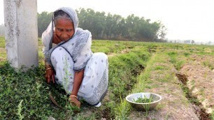 'Chachi Shaak Recipe village Style by Grandmother | Unknown Recipes | Village Food'