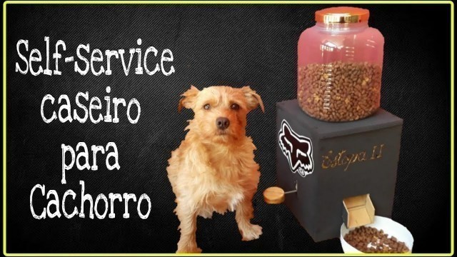 'Comedouro Automático para cachorro! Faça Você Mesmo!       DIY Dog Food Dispenser!!!'