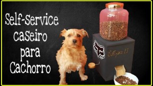 'Comedouro Automático para cachorro! Faça Você Mesmo!       DIY Dog Food Dispenser!!!'