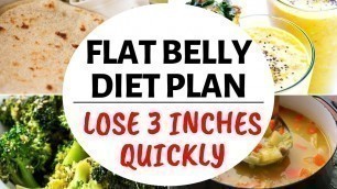 'Flat Belly Diet Plan to Lose 3 inches or Lose 10 kgs in 10 days fast | Diet Plan for Flat Belly'