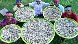 '3000 QUAIL EGGS | Cooking Eggs in CLAY | Ancient Traditional Quail Egg Recipes Cooking In Village'