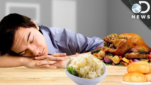 'What Really Causes A Food Coma?'