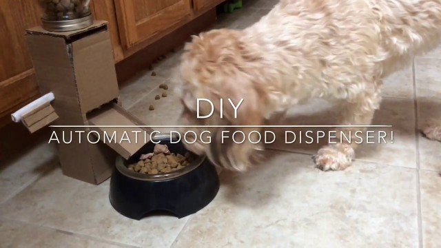 'DIY Automatic Dog Food Dispenser!'