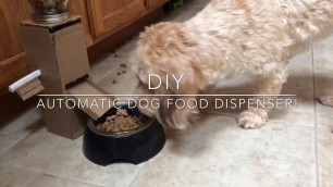 'DIY Automatic Dog Food Dispenser!'