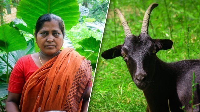 'Goat Head Village Cooking Recipes by Village Food Life'