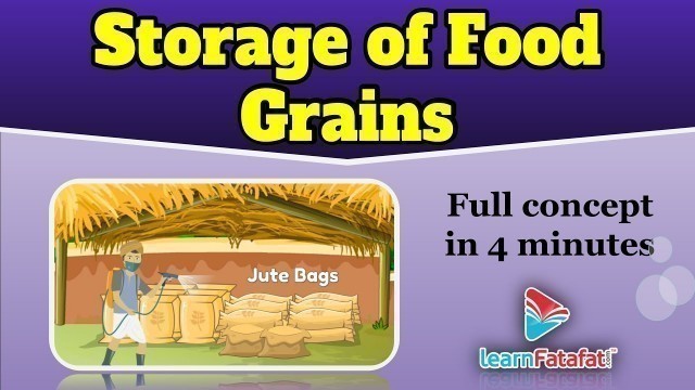 'Storage of food grains | Class 8 Chapter 1 Crop production and management | CBSE - LearnFatafat'