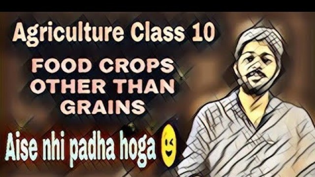 'Food crops other than grains | Major food crops class 10 geography agriculture | Food crops class 10'